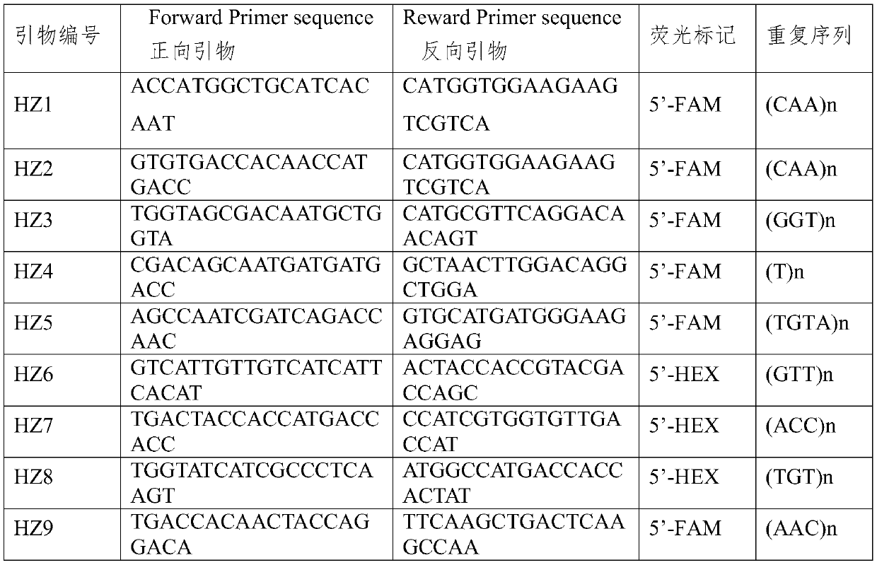 Artificially domesticated phlcbopus portentosus strain HZ18006 and SSR marker fingerprint thereof