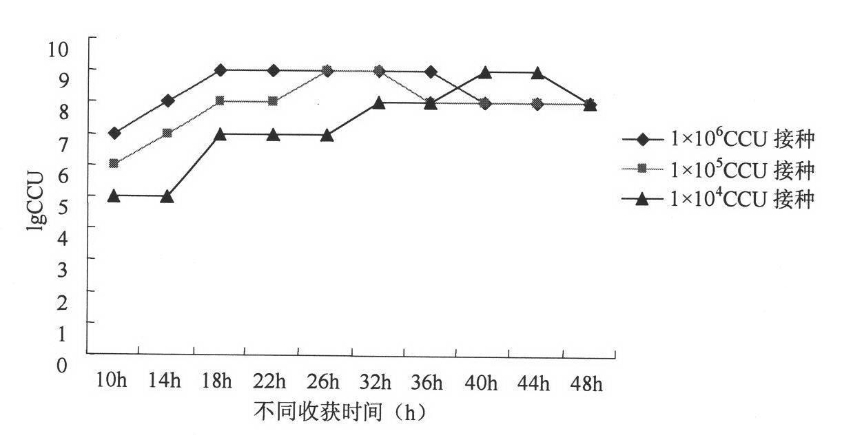 Leachii mycoplasma Chinese isolate and isolation medium and application thereof