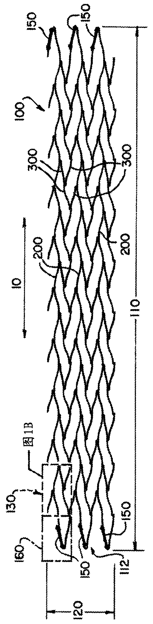 Stent with longitudinal variable width struts