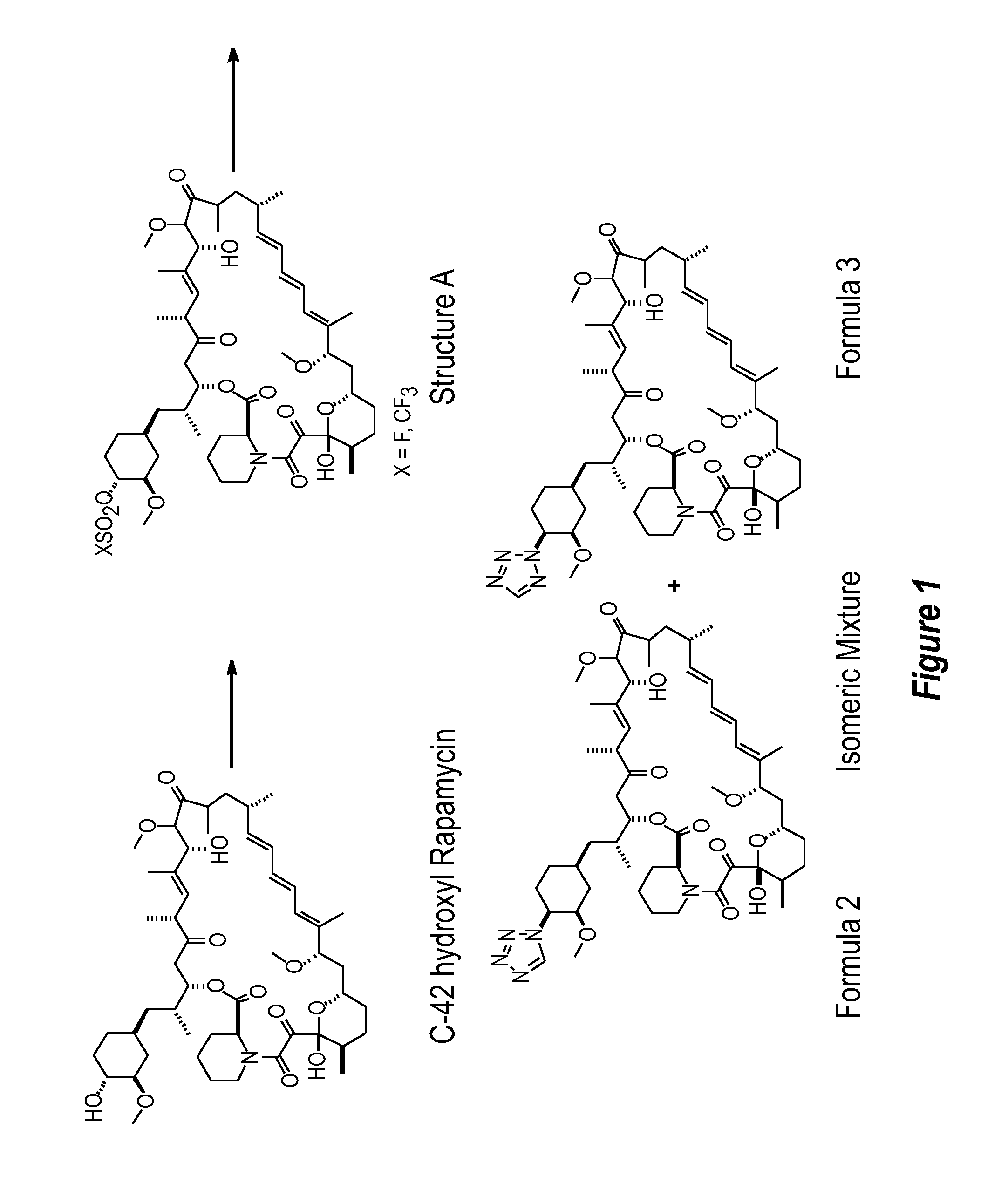 Crystalline forms of rapamycin analogs
