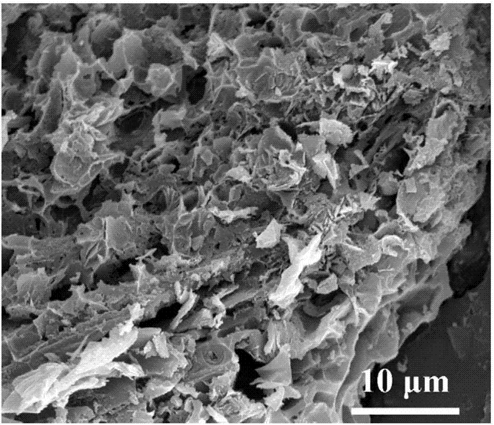 Method for preparing nitrogen-doped porous biochar by employing molten salt-assisted high-temperature carbonization method