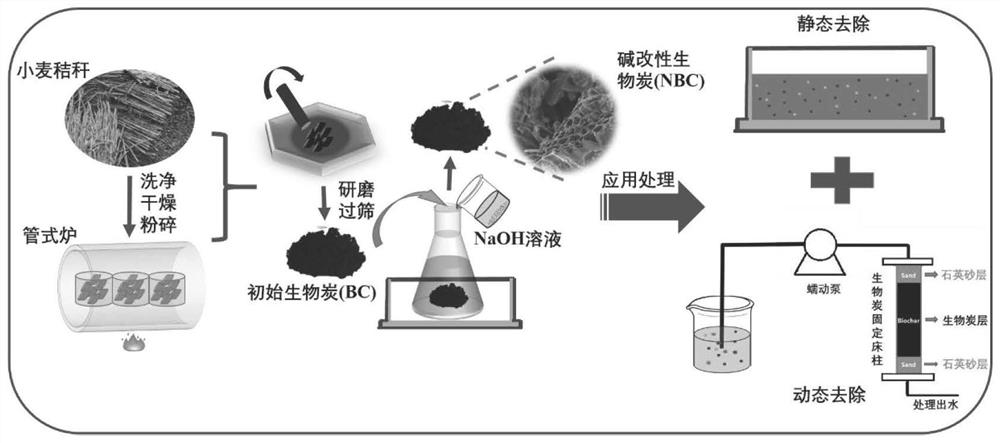 Preparation of alkali-modified biochar and application of alkali-modified biochar in removal of emerging pollutants in sewage