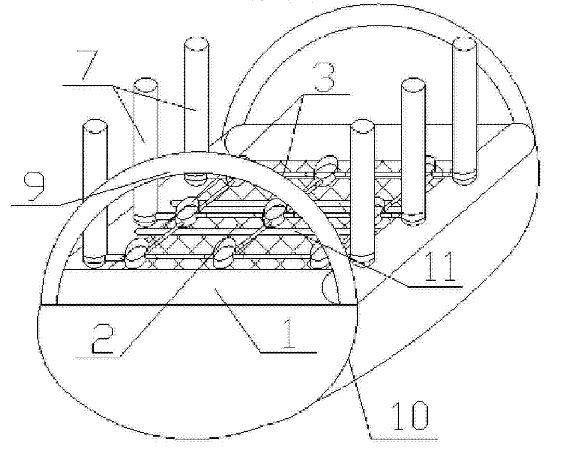 Method and device for promoting growth of plant of biological floating island