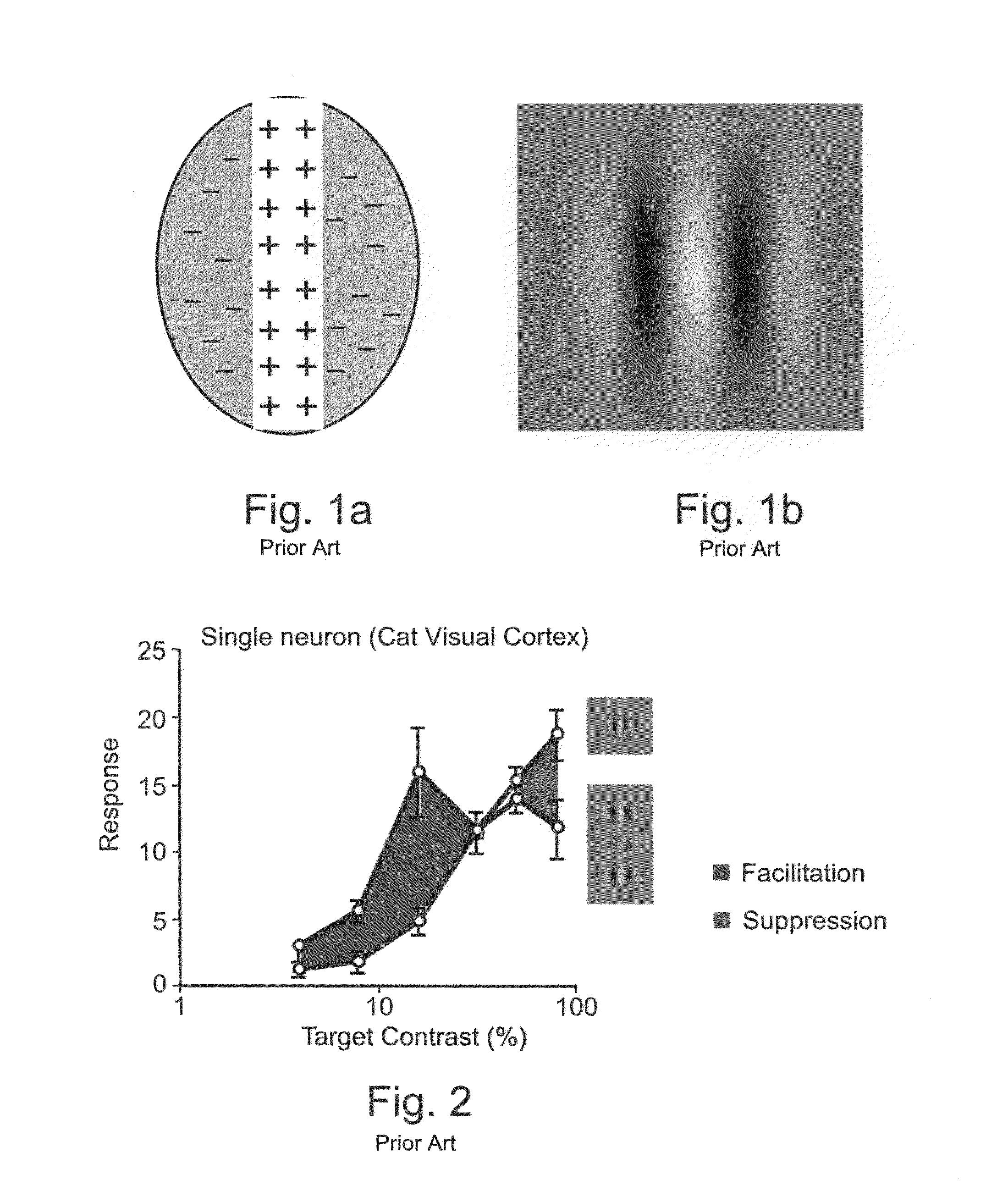 Method and apparatus for improving visual perception