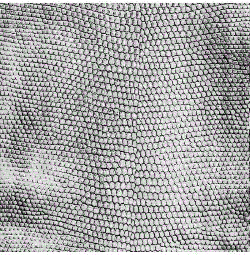 Digital image analysis method based on fractal dimension