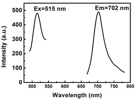 Near-infrared fluorescent magnetic Fe NCs dual-mode probe as well as synthesis method and application thereof
