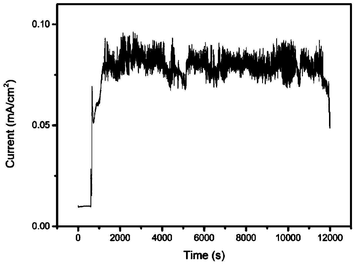 Photochemical cell, preparation method thereof and application of photochemical cell in cyclic degradation of organic dyes