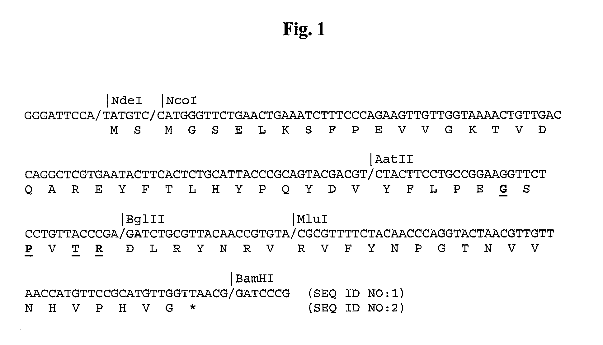 Eglin c based drugs for treatment of disease