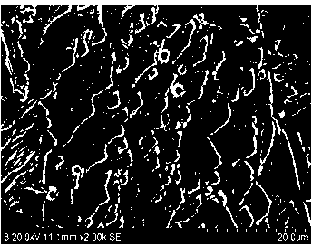 Casting infiltration method for enhancing hardness and abrasive resistance of surface layer of low-carbon alloy cast steel