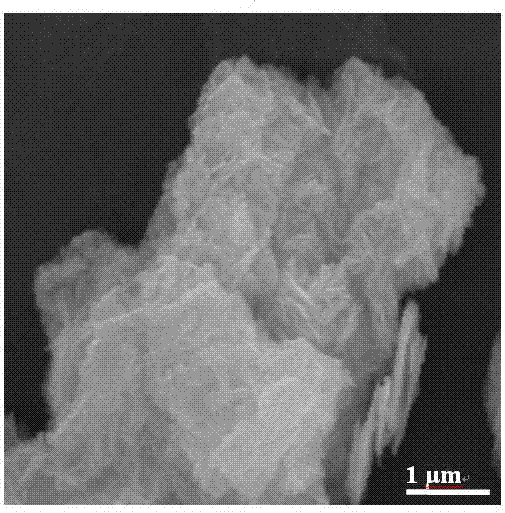 Bismuth titanate nanosheet/bismuth oxide chloride nanosheet composite photocatalyst in three-dimensional structure and preparation method of composite photocatalyst