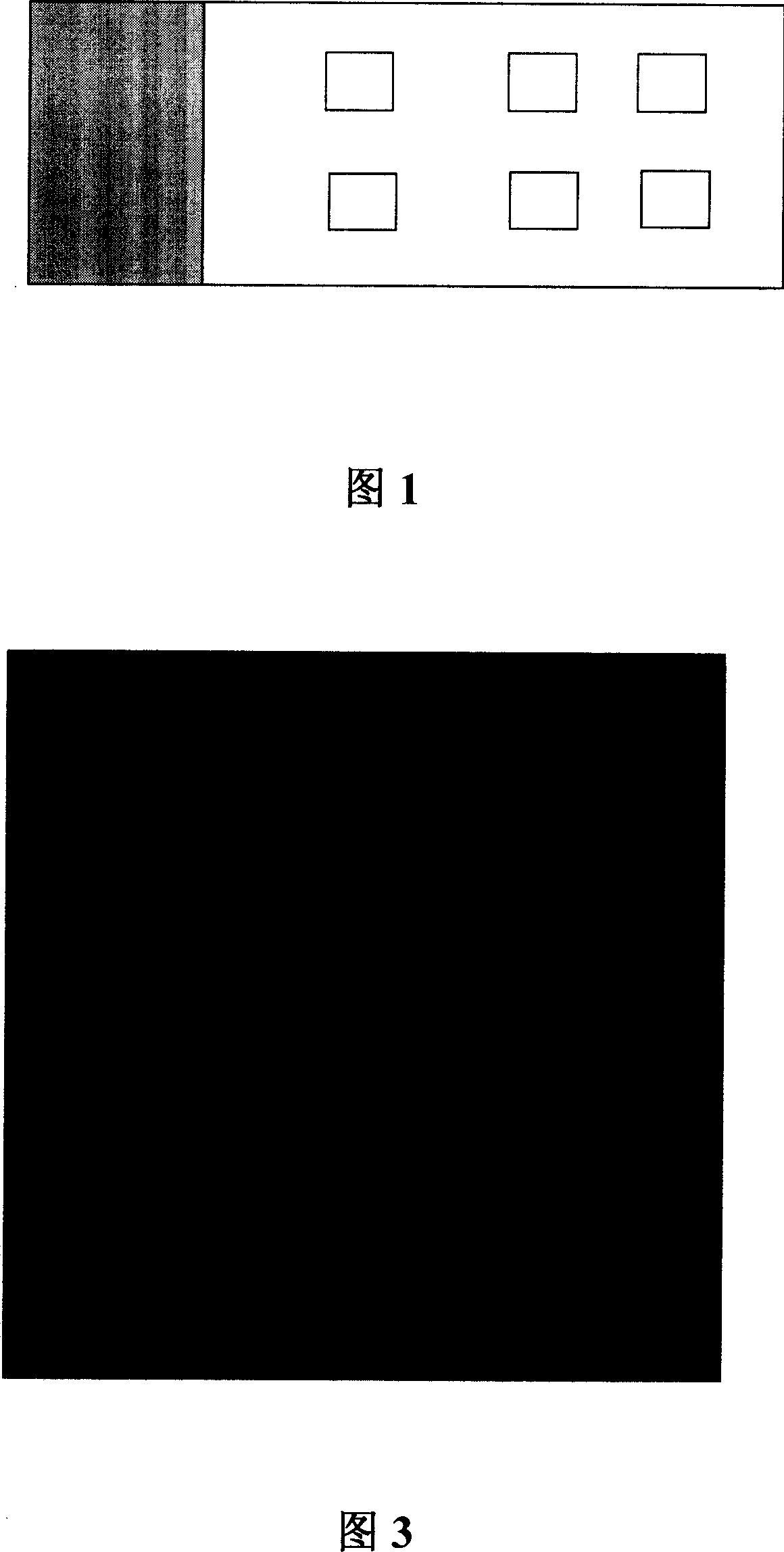 Gene chip for serotype detection of shigella and its detection process and reagent kit