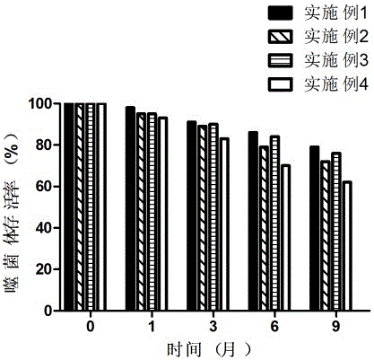 High-quality phage preservation protective agent and preparation method and application thereof