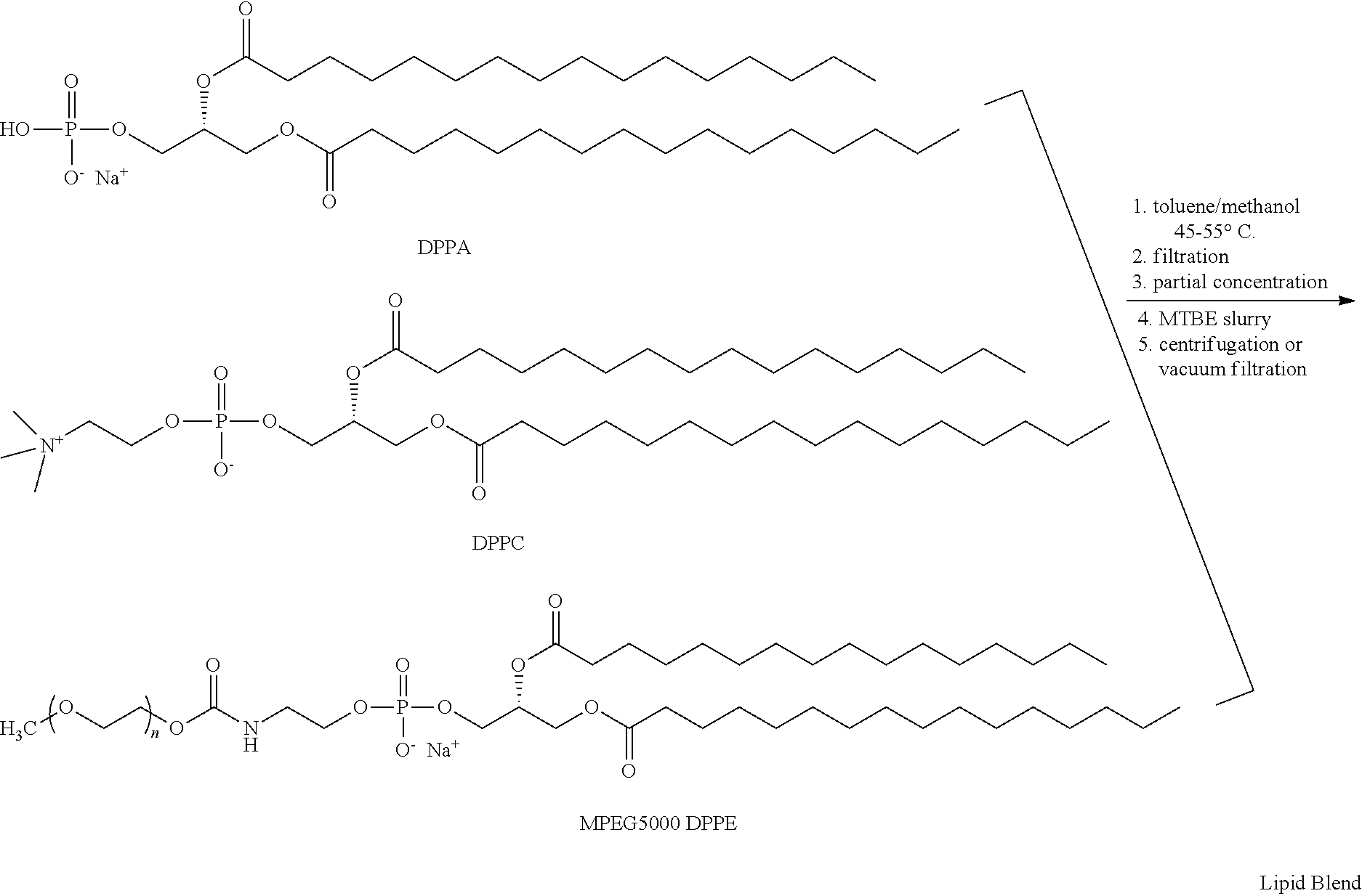 Preparation of a lipid blend and a phospholipid suspension containing the lipid blend