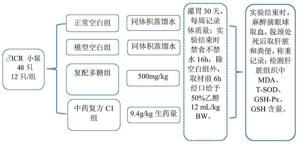 Traditional Chinese medicine compound preparation for assisting oxidation resistance