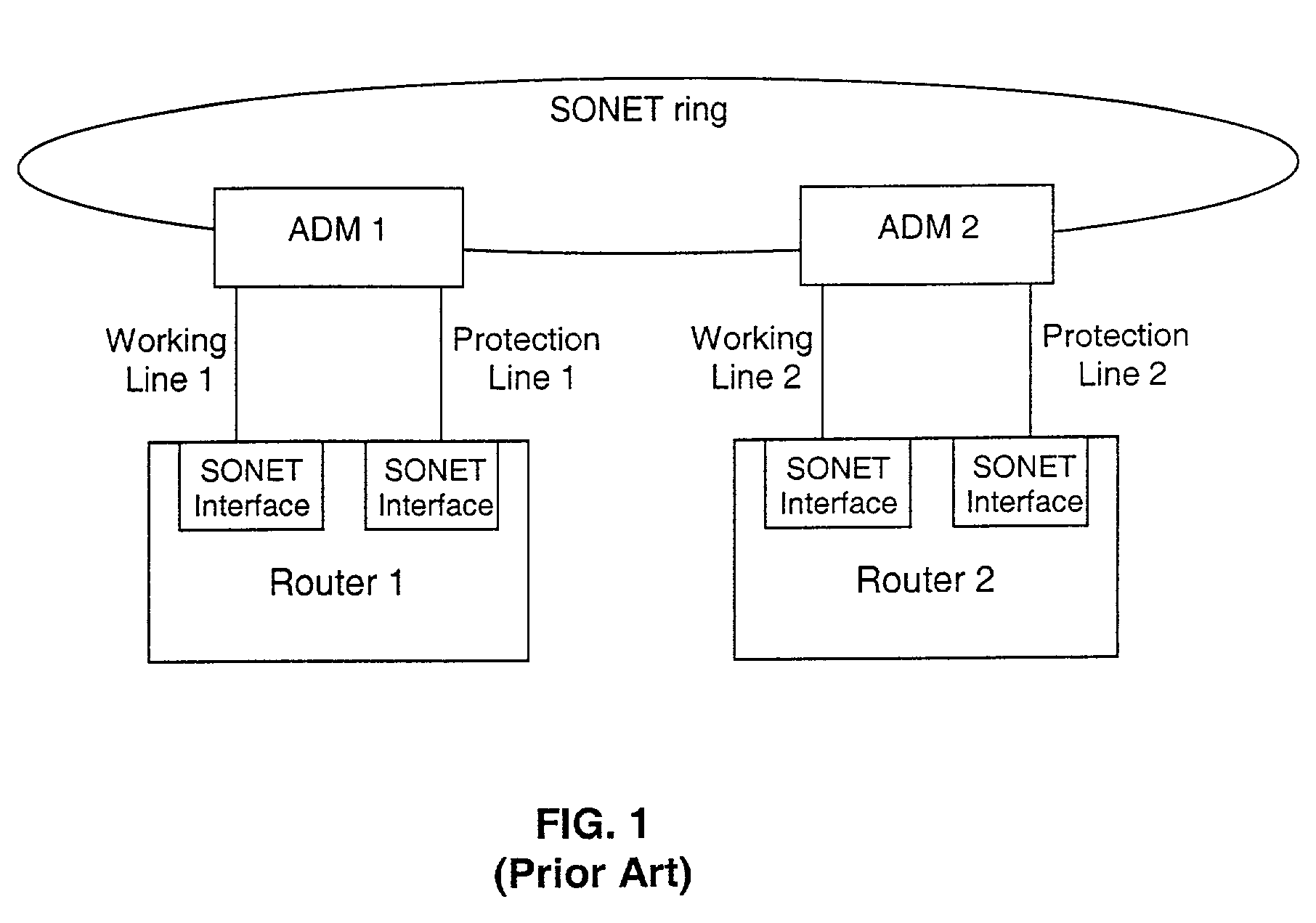 Fault tolerant automatic protection switching for distributed routers