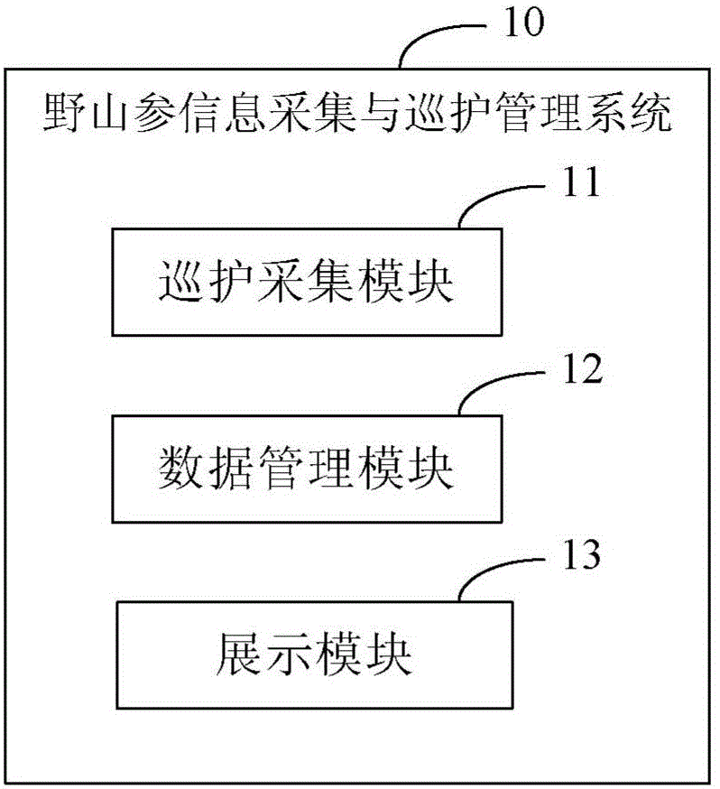 System and method for information acquisition and patrol management of wild ginseng