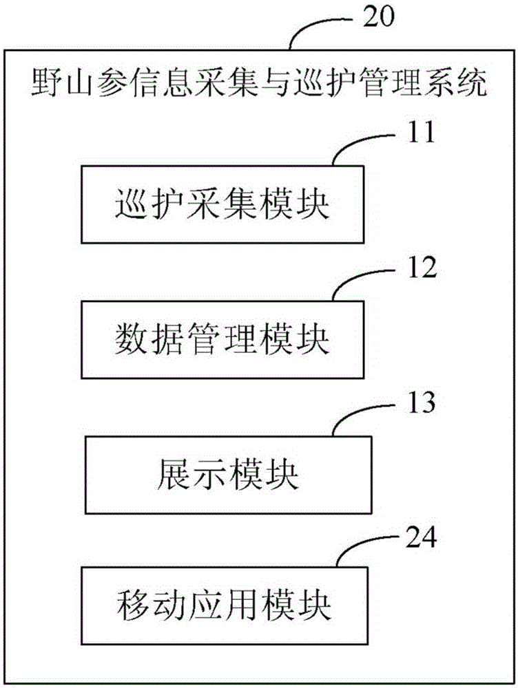System and method for information acquisition and patrol management of wild ginseng
