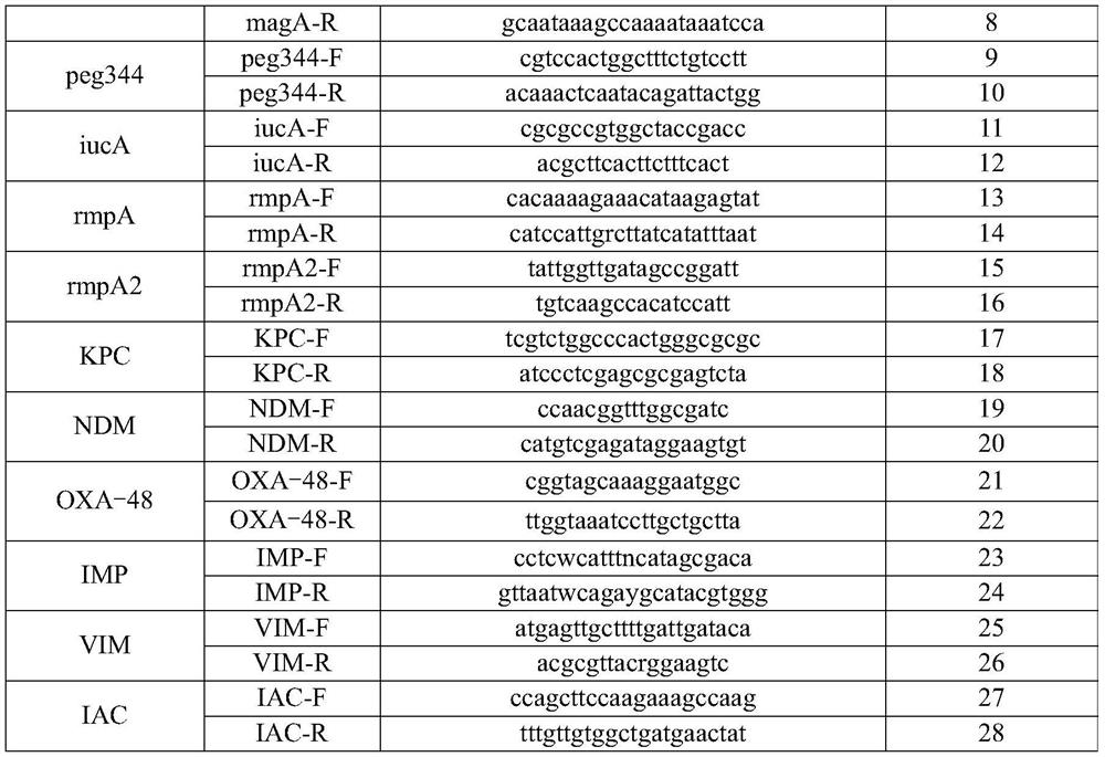 Nucleic acid reagents, kits, systems and methods for detecting Escherichia coli and Klebsiella pneumoniae and their toxicity and drug resistance