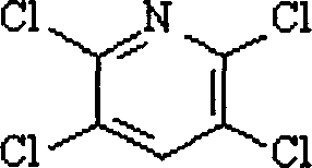 One-step process for producing tetrachloropyridine in high content