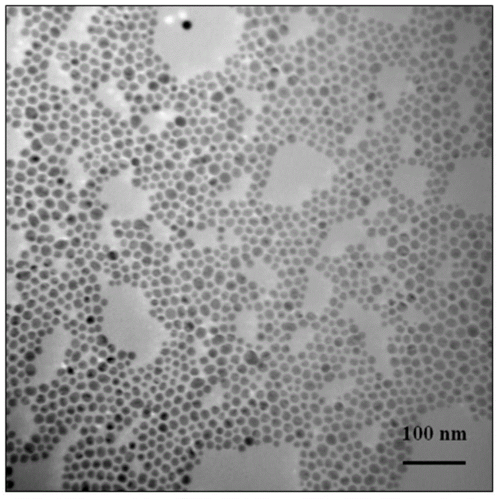 Preparation method for oil-phase silver nanoparticles