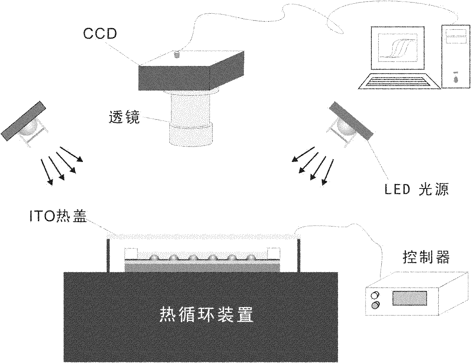 PCR chip based on droplet array and application thereof