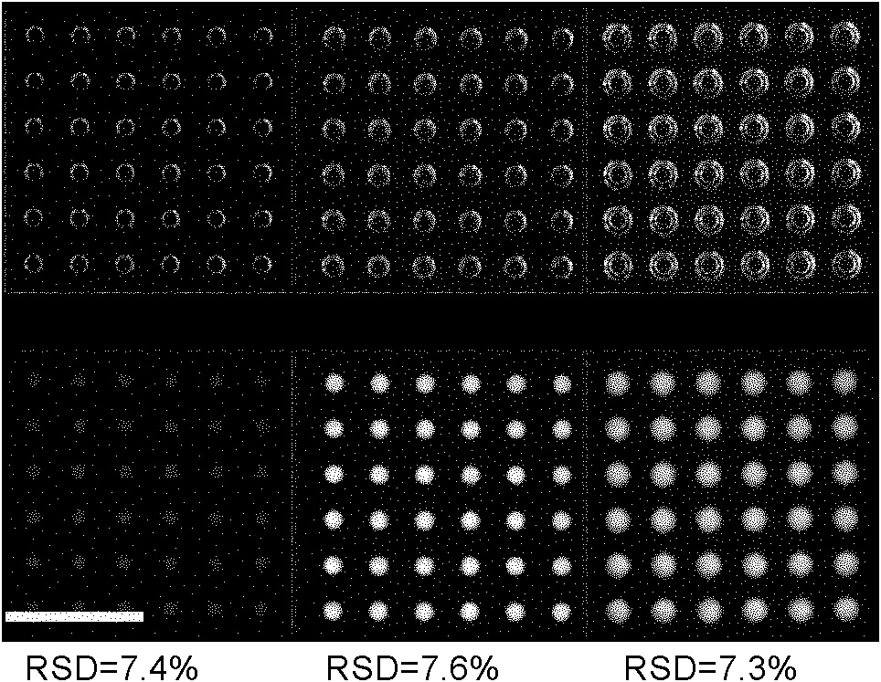 PCR chip based on droplet array and application thereof