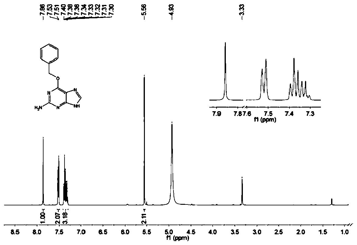 Benzylguanine derivatives and their organic salt compounds and pharmaceutical compositions and their applications