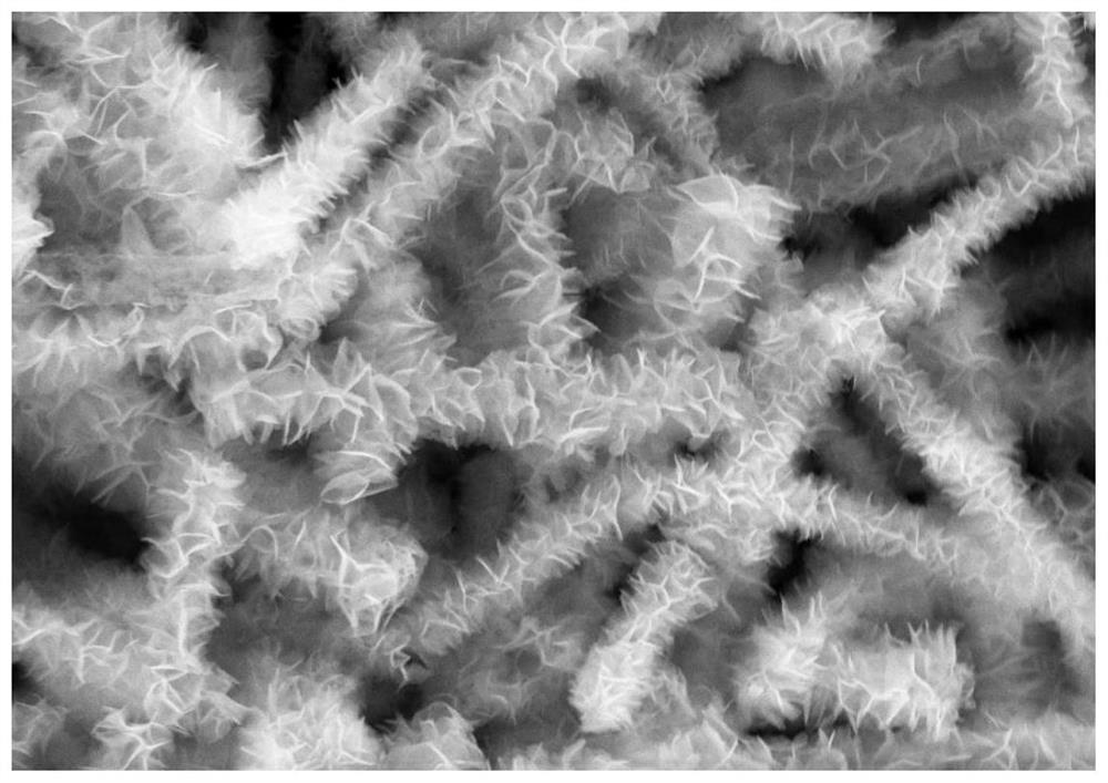 TiO2@SnSexS2-x@SnO2 bifunctional composite structure and preparation method thereof