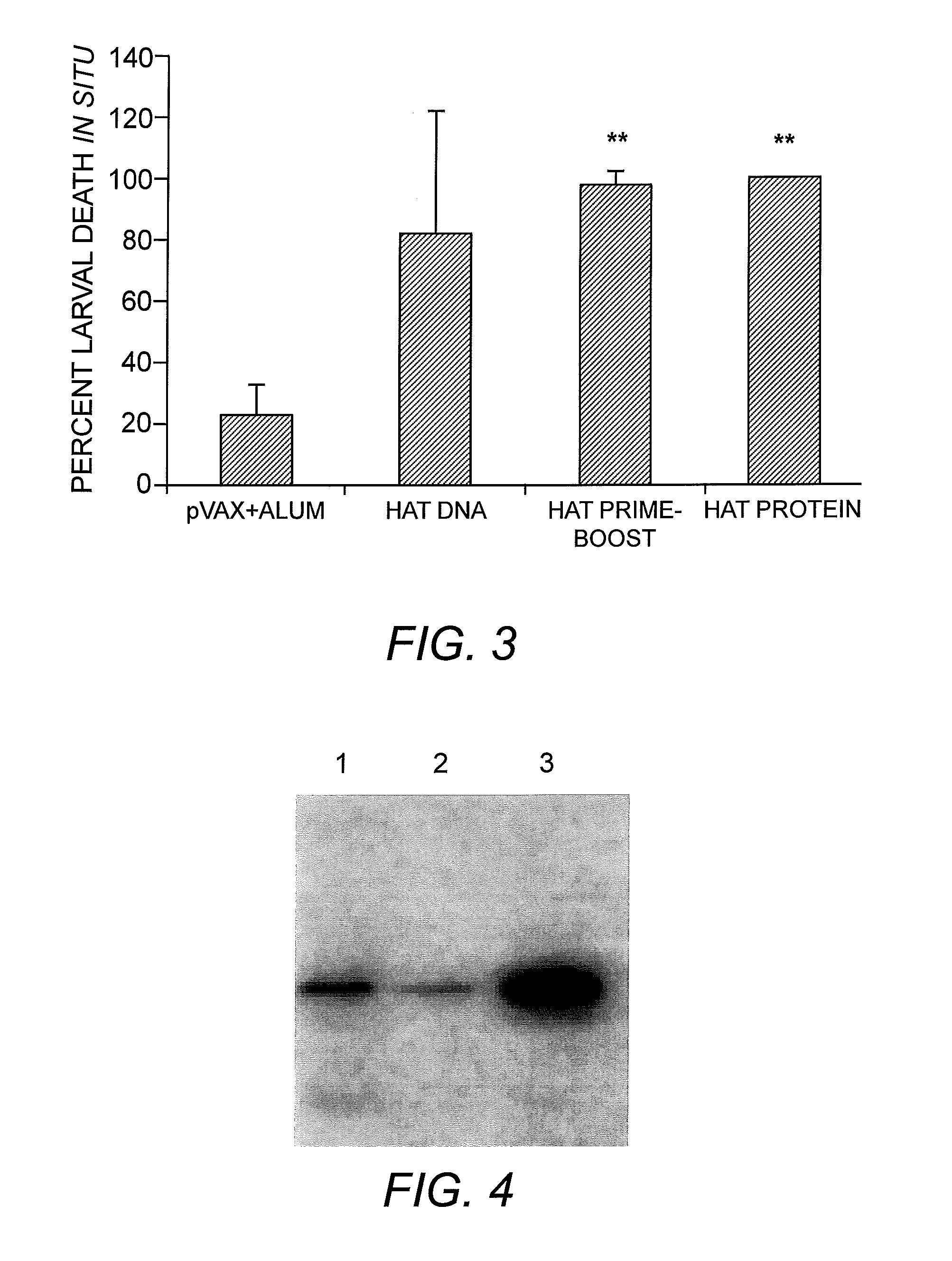 Vaccine and methods for detecting and preventing filariasis