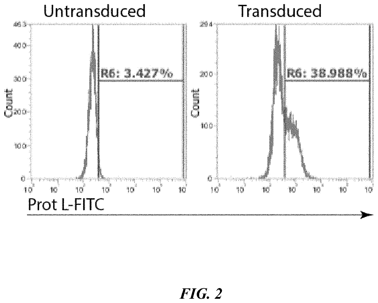 Reprogramming of polymorphonuclear leukocytes