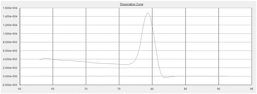 Fluorescent constant-temperature amplification technique