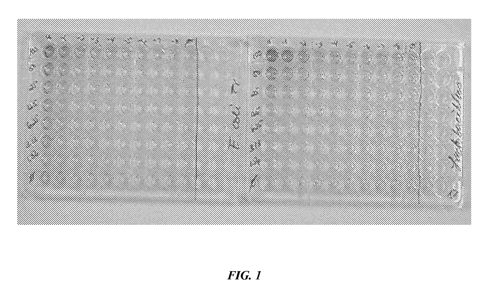 Methods, compositions, and kits for the detection of bacteria in a sample
