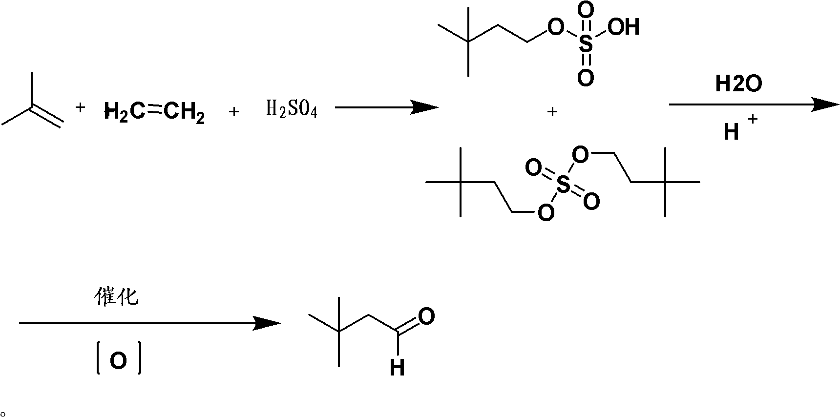 Method for preparing 3,3-dimethyl butyraldehyde