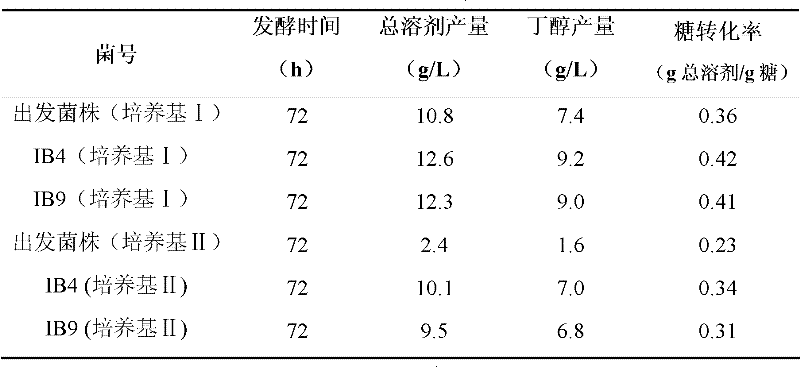 Clostridium beijerinckii with high stress resistance and application thereof