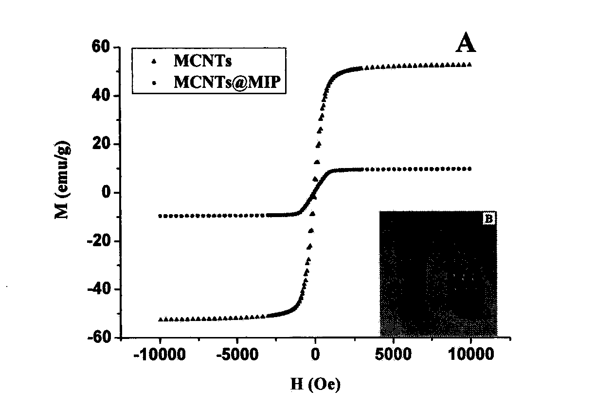 Preparation method of magnetic carbon nano-tube surface molecular imprinting polymer for biological sample pretreatment