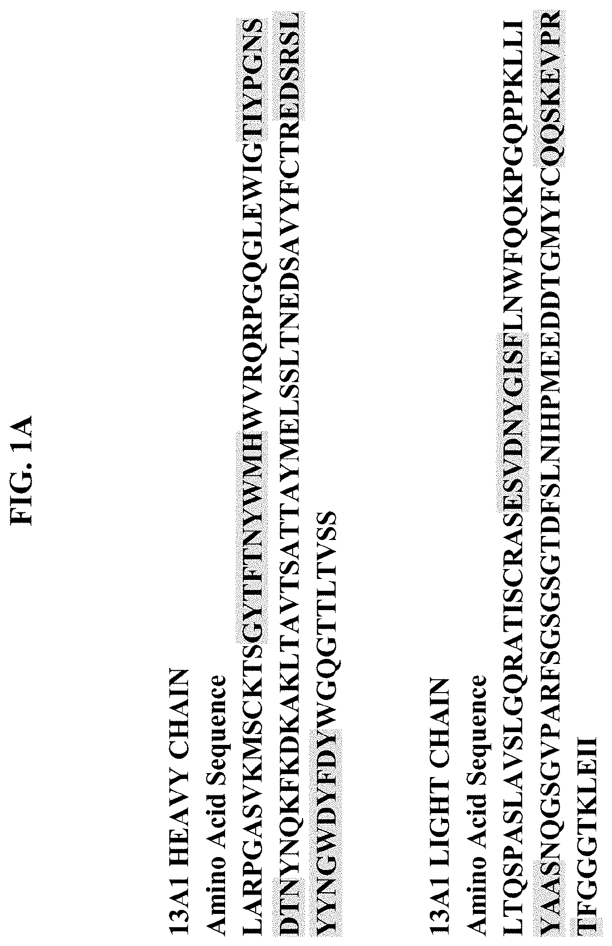 Tgf-b1 specific antibodies and methods and uses thereof