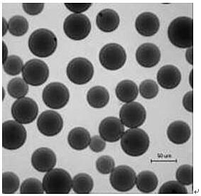 A kind of preparation method of protein affinity imprinted hydrogel polymer based on acrylamide group metal chelating monomer