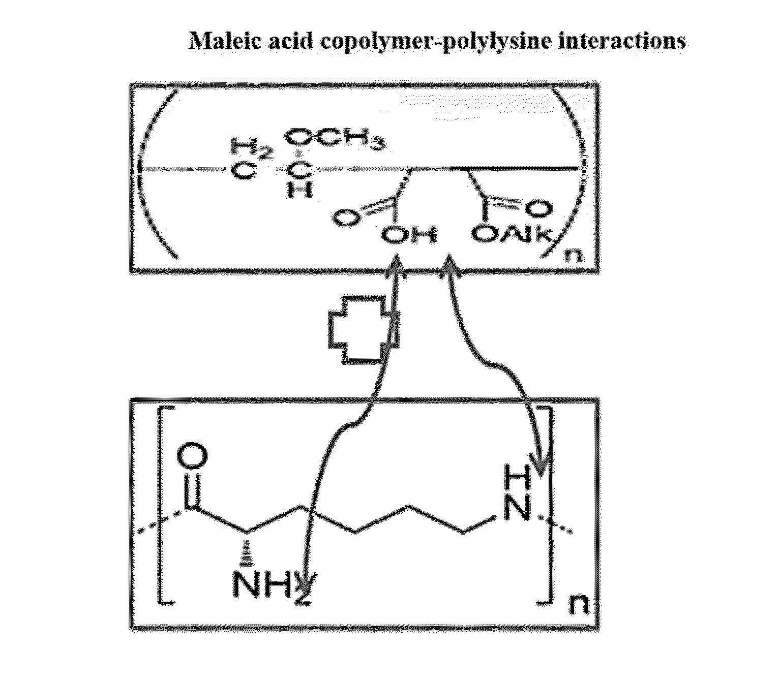 Hair cosmetic and styling compositions based on maleic acid copolymers and polyamines