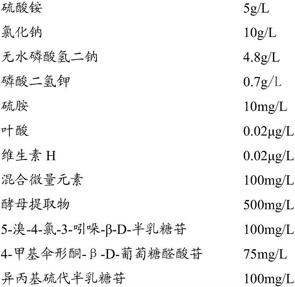 Enzyme substrate culture medium capable of simultaneously detecting two fecal pollution indicator bacteria and application thereof