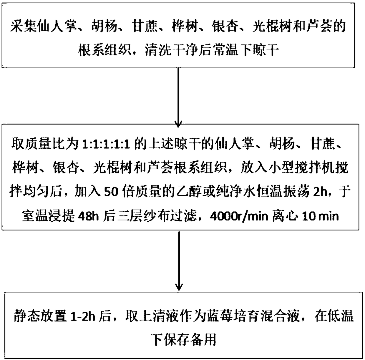 Drought-resistant blueberries and cultivating method thereof