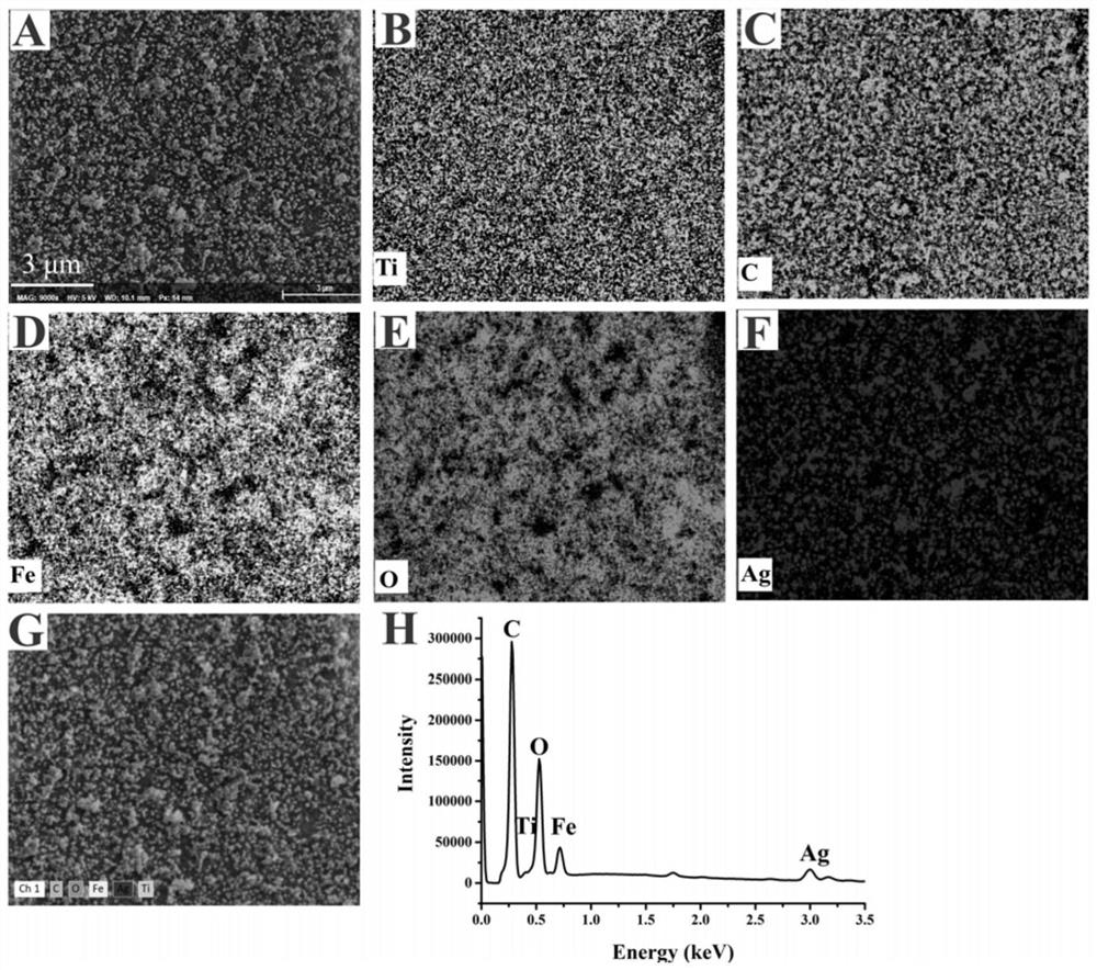 Magnetic nano composite material, preparation method thereof and application in SERS (Surface Enhanced Raman Scattering) detection