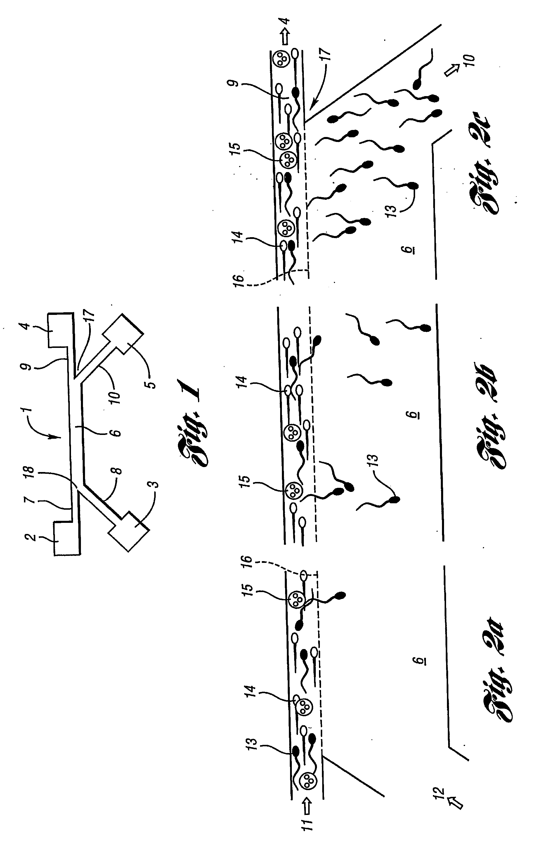 Integrated microfluidic sperm isolation and insemination device