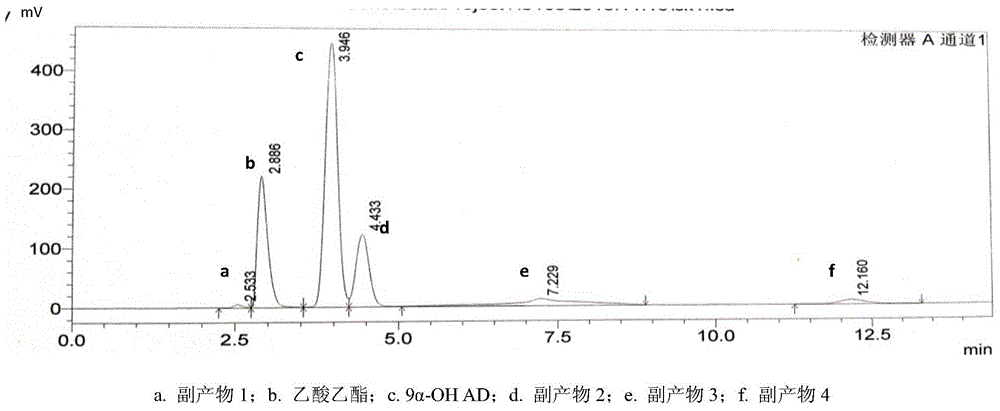 Mycobacterium foruitum and application thereof