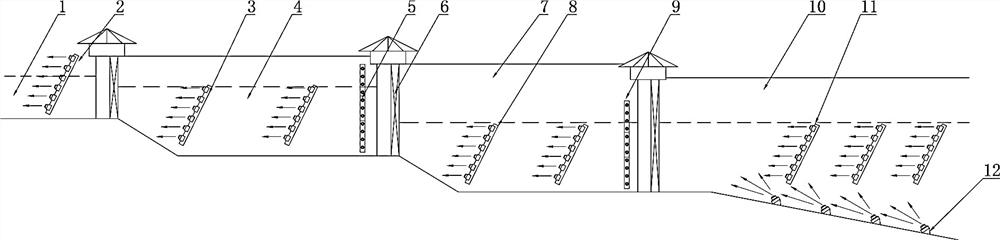 System and method for passing fish through step ship lock by utilizing bubble curtain