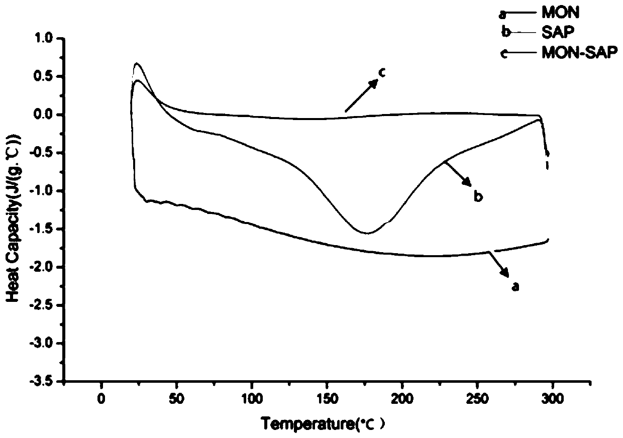 Organosilicon/sarcodon quel polysaccharide nano-composite, preparation method and application thereof