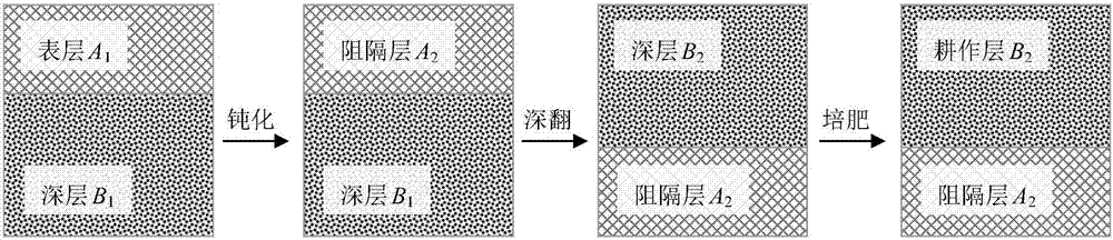 Barrier layer based safe utilization method for cadmium-polluted farmlands