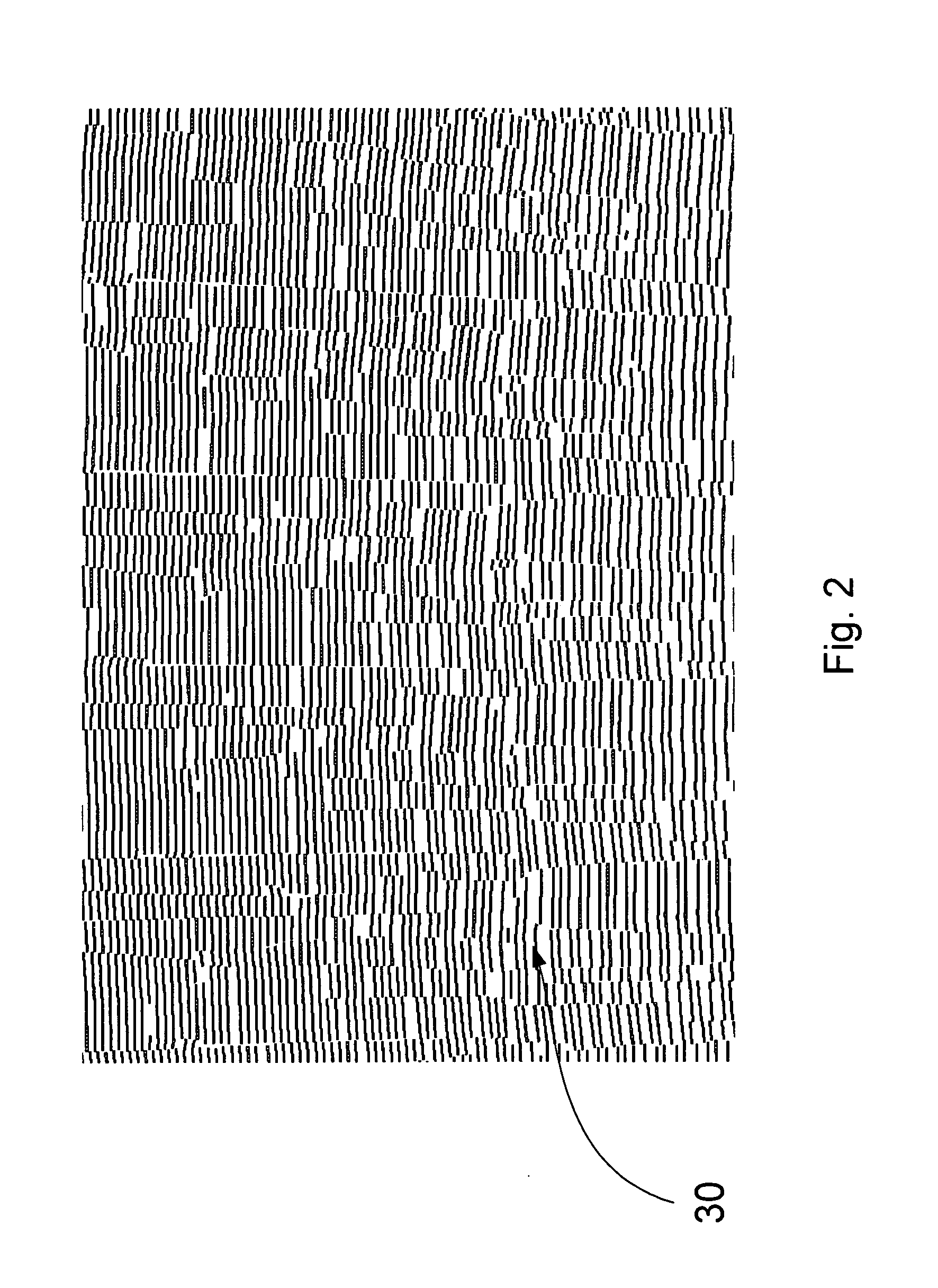 Optical integrated nanospectrometer and method of manufacturing thereof