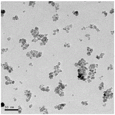 Enzymatic crosslinking chitosan/polyethyleneimine grafted magnetic gelatin material and preparing method and application thereof