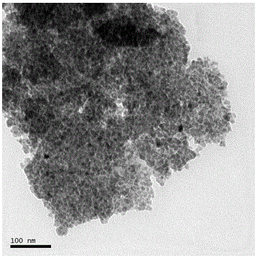 Enzymatic crosslinking chitosan/polyethyleneimine grafted magnetic gelatin material and preparing method and application thereof