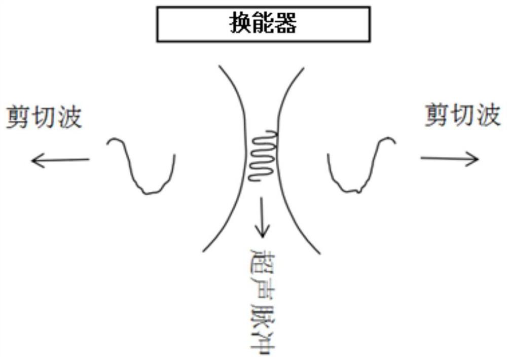 Shear wave elastic imaging method and system